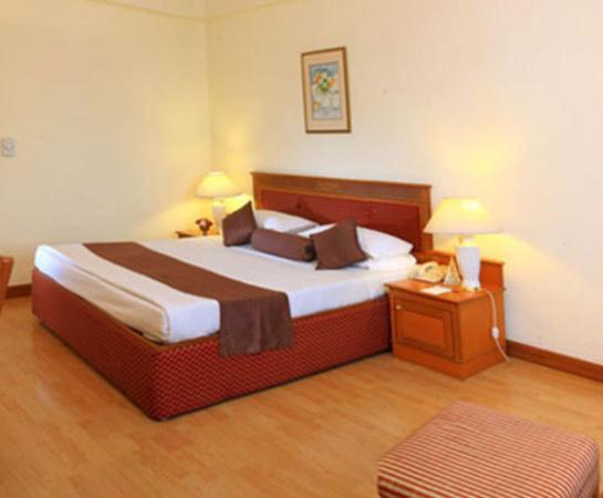 Hotel Hridey Inn Nueva Delhi Habitación foto